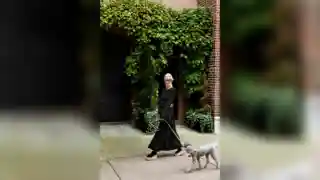 Casting Parisienne 55-75 ans avec petit chien à Paris