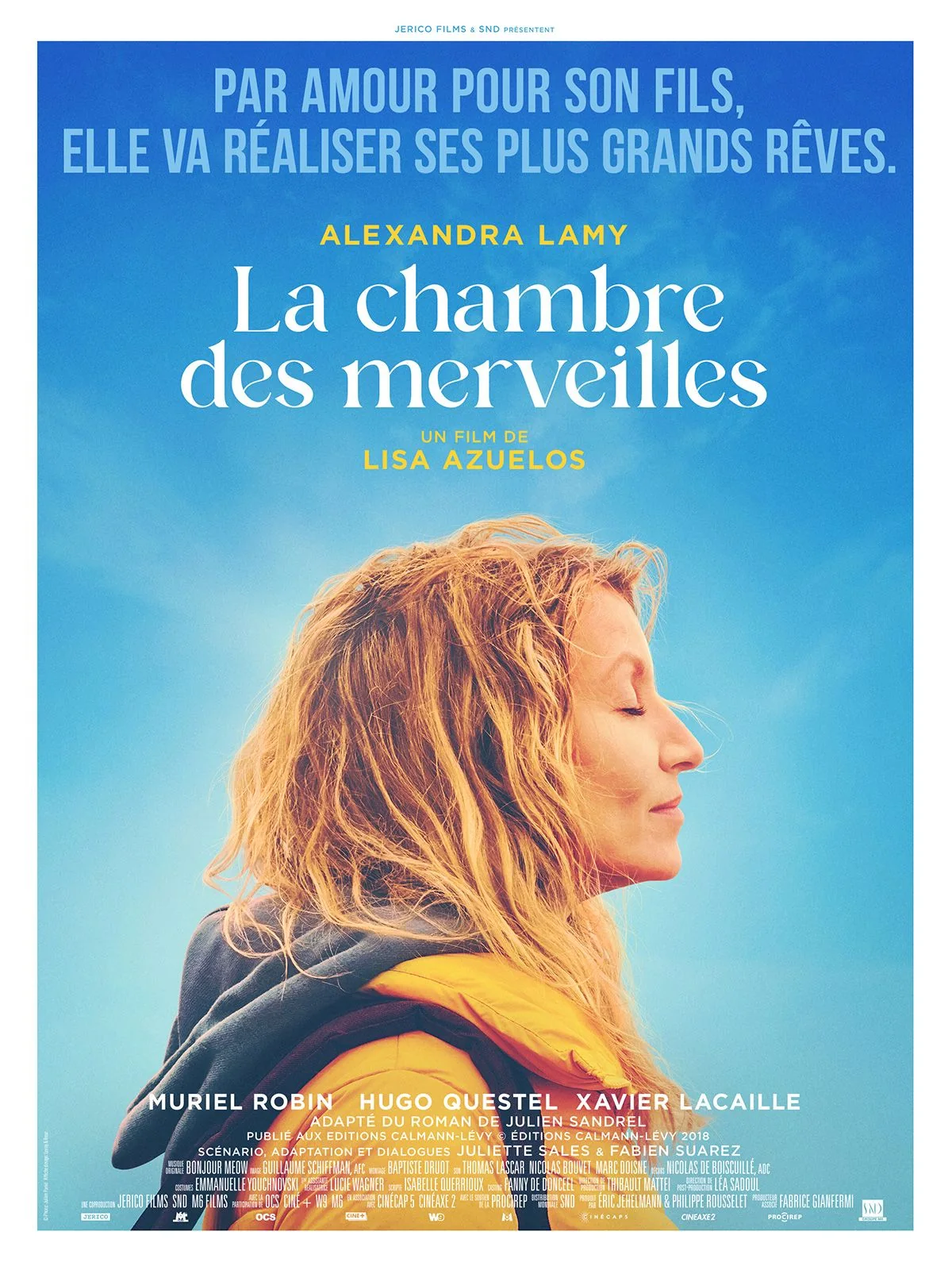 Affiche du film La Chambre des merveilles avec Alexandra Lamy