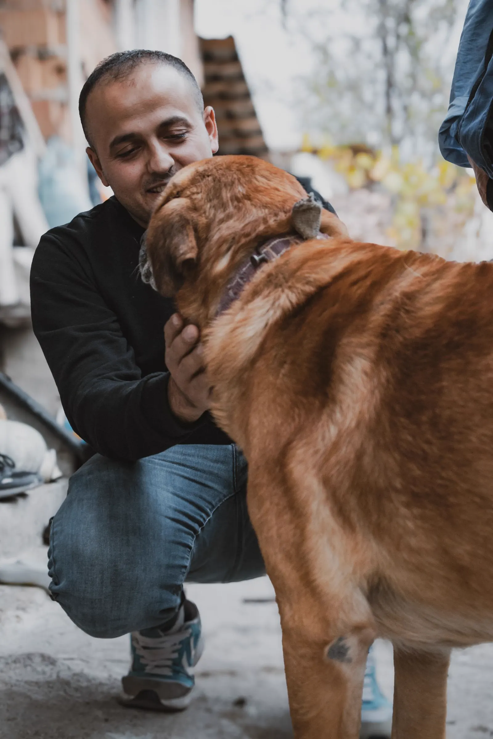 Homme à l’aise avec un grand chien pour illustrer un casting de silhouette
