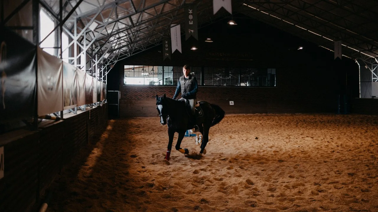 EIFELTOD : casting avec cheval à Hamoir les 17 et 18 septembre