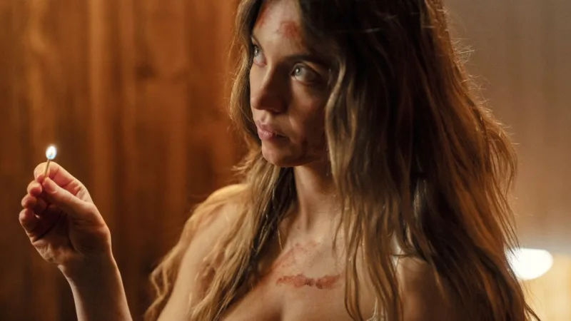 Sydney Sweeney dans La Femme de ménage de Paul Feig