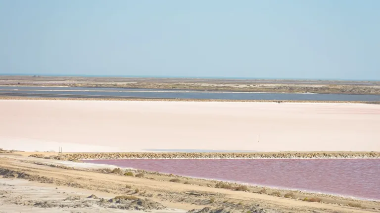 [URGENT] Casting Camargue : portes ouvertes le 2 octobre 2026
