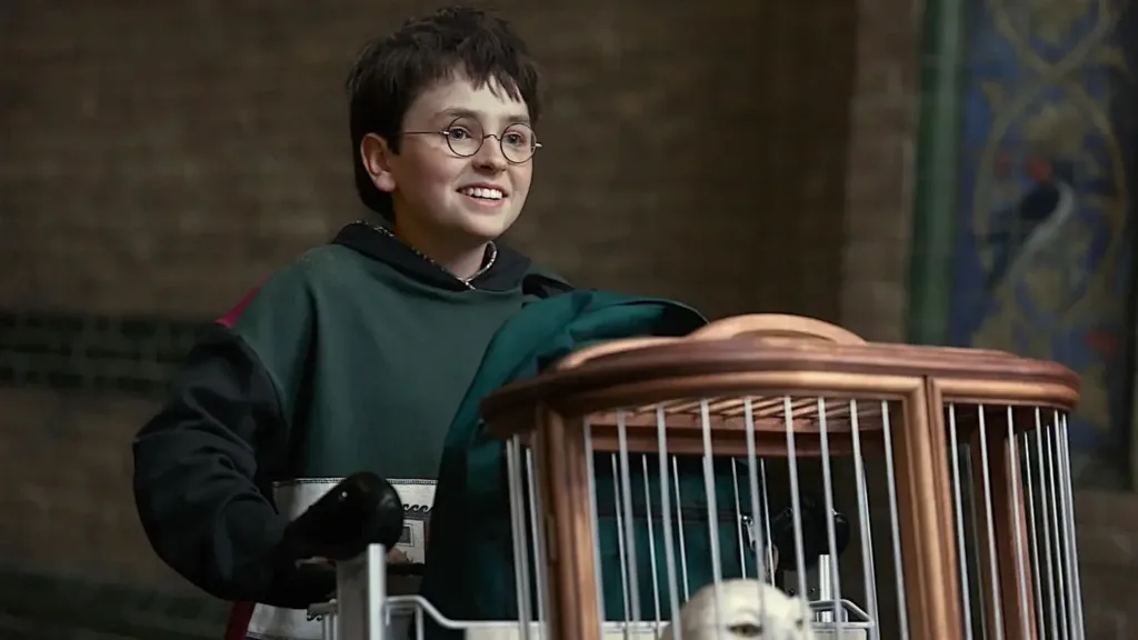 Harry Potter : une phrase du nouveau teaser révèle les doutes du jeune sorcier