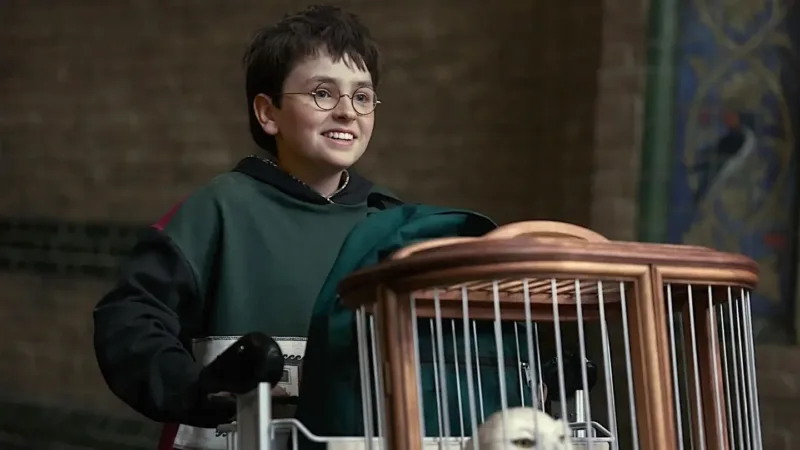Dominic McLaughlin en Harry Potter avec la cage de Hedwige