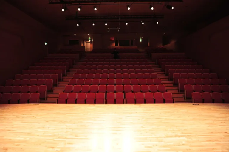 Casting théâtre : rôle de Momo pour une alternance à Paris