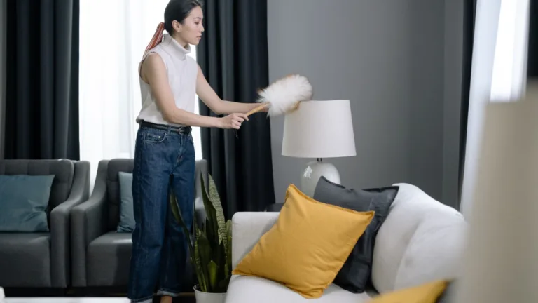 Casting Amazon : femme de maison philippine 35-60 ans à Paris