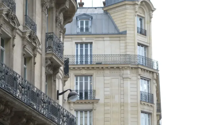 [URGENT] Les Sentinelles 2 : casting mafia corse à Paris